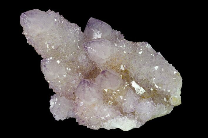 Cactus Quartz (Amethyst) Crystal Cluster - South Africa #137789